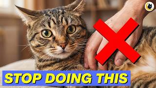 Stop these 9 things if you truly love your Cat