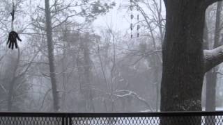 treehouse in the snow