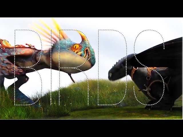 ●BIRDS || HTTYD●