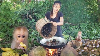 So Cute Baby Monkey! Catching River Snails &amp; Cooking for jungle Yummy Food @PrimitiveSurvivalSkillss