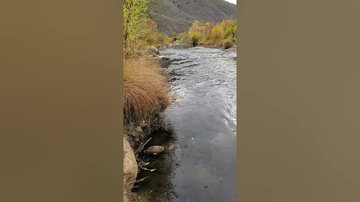 Melissa, Kern River