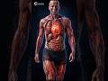 What Happens If You Walk 30 Minutes Every Day? | Body Changes Explained