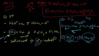 Understanding Buffer Systems in Blood | Abdelrahman  screenshot 5