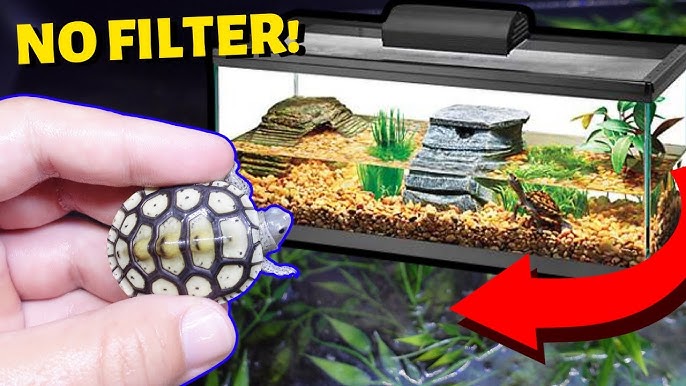 HOMEMADE TURTLE AQUARIUM! DIY PLASTIC BIN TURTLE SETUP 