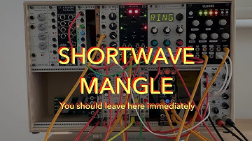 Modular ambient using Braids, Plaits, Pluck, Clouds and Marbles. Oh, and shortwave samples.