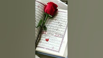 اللهم اجعل القران الكريم ربيع قلوبنا ونور صدورنا 🤲❤️