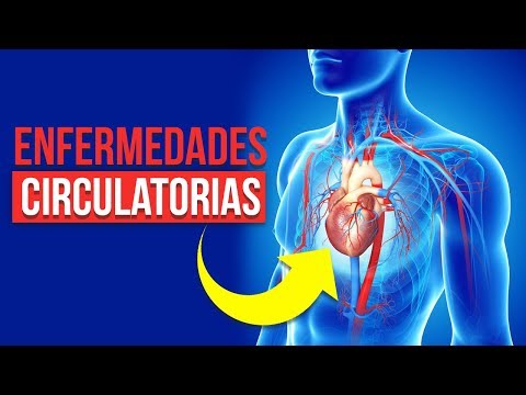 Vídeo: 7 Enfermedades Del Sistema Circulatorio: Síntomas, Riesgos Y Más