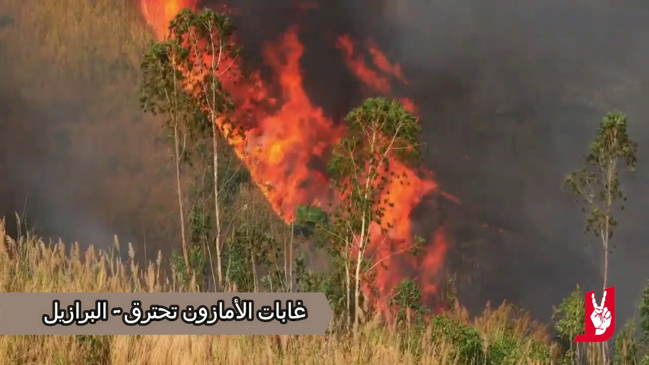 الأرض في خطر حريق غابات الأمازون Youtube