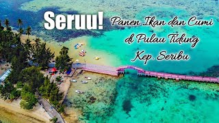 BIKIN NAGIH! EXPLORE PULAU TIDUNG BESAR SAMPAI TIDUNG KECIL
