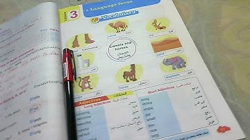 Connect 4 unit 2 lesson 3 الدرس الثالث -الوحدة الثانية - منهج  الصف الرابع الابتدائي