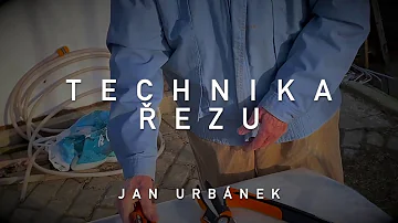 Jaký je Řez ovocných stromů po výsadbě?
