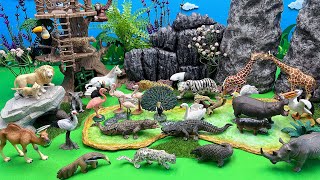 Wild Animals Big &Small | Diorama For Animals Crocodile Horse Cow Lion White Tiger