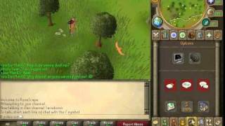 How to change runescape cursor!