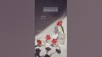 آية ٣٠ "إنك ميت وإنهم ميتون" من سورة الزمر