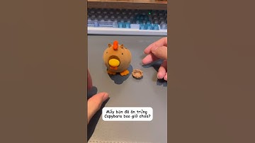 Con Capybara này biết đẻ trứng ư? #funny #capybara #review #genz  #gift #giaitri #haihuoc #douyin