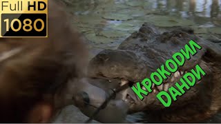 Нападение огромного крокодила. Данди спасает журналистку Сью. Фильм "Крокодил Данди" (1986) HD