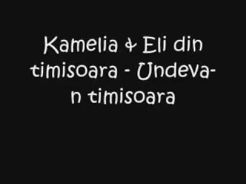 Kamelia feat Mark Eli Undeva In Timisoara