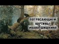 Картины И.И. Шишкина