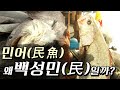 [특집다큐] 민어(民魚), 왜 백성민(民)일까?