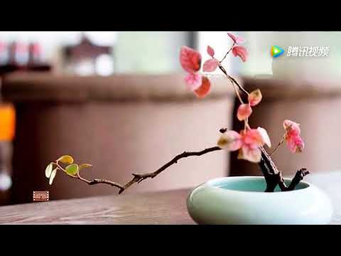 劉珂矣 如是