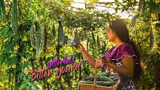 Delicious curry! Who would say 'NO' to bitter gourd, if those cooked like this! | Traditional Me