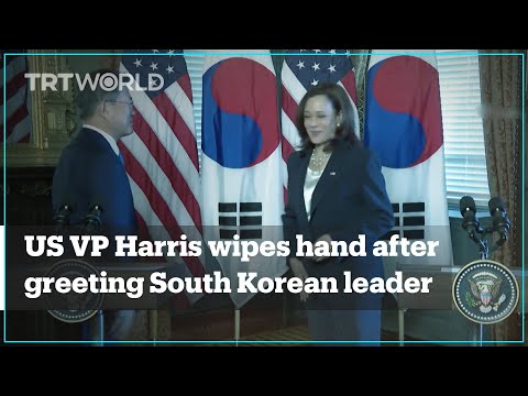 US VP Harris wipes hand after handshake with S Korean President