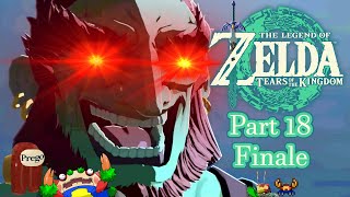 Join me Link or else you will d!e! - The Legend of Zelda: Tears of the Kingdom Part 18 (Finale)