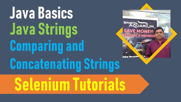 21B. Java Basics for Selenium - Java Strings - Comparing and Concatenating two strings