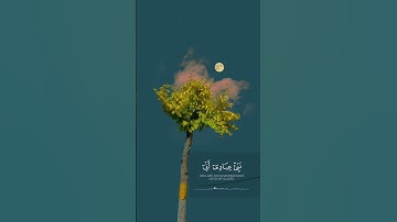 نبئ عبادي أني أنا الغفور الرحيم | القارئ ماهر المعيقلي. #راحة_نفسية