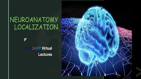 APP2APP Virtual Lectures - Introduction to Localization with Cases