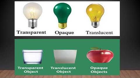 6TH STANDARD/ GENERAL SCIENCE/ CHAPTER 4 / SORTING MATERIALS INTO GROUPS/ VIDEO 08