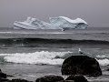 Looking for Icebergs Across Newfoundland 2017