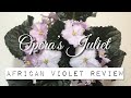 Opera's Juliet - African Violet Review