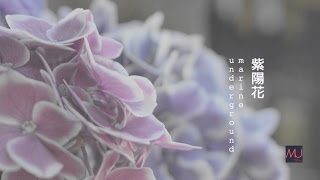 紫陽花 / 初音ミクオリジナル