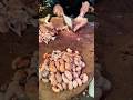 #meat #expertbutcher #fullgoatcutting #people #trampoline #shortvideo #shorts