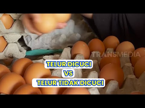 Video: Adakah telur segar ladang perlu dibersihkan?