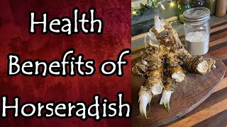 Health Benefits of Horseradish