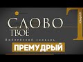 Библейский словарь: Премудрый | Слово Твоё