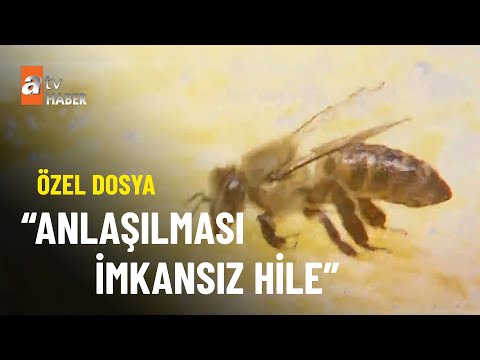 atv Haber gıda