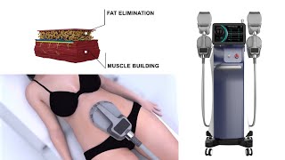 Best EMSlim Body Sculpting Machines for Sale  Rejuva Fresh in US – tagged  Perfect Shape Machine