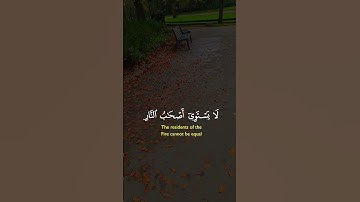 تلاوة خاشعة لآيات من كتاب الله #القرآن_الكريم #القرآن #المصحف #coran #quran #foryou #viral #fyp
