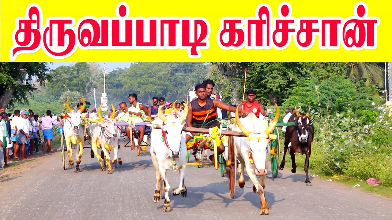 திருவாப்பாடி | கரிச்சான் |  வண்டிபந்தயம் 18.01.2026 