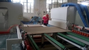 woodworking double end tenoning machine