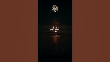 صُنۡعَ ٱلله ٱلَّذِیۤ أَتۡقَنَ كُلَّ شَیۡءٍ (سُورَةُ النَّمۡلِ) تلاوة هادئة 💚