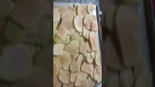 Сушені яблука чіпси в сушарці на дровах просто неймовірний смак. dried apples in a dryer on wood