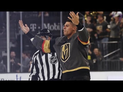 Ryan Reaves on his role in Toronto: I'm going make sure our guys feel safe  on the ice… Off the ice, I'm going to make sure everybody is together all  the time”