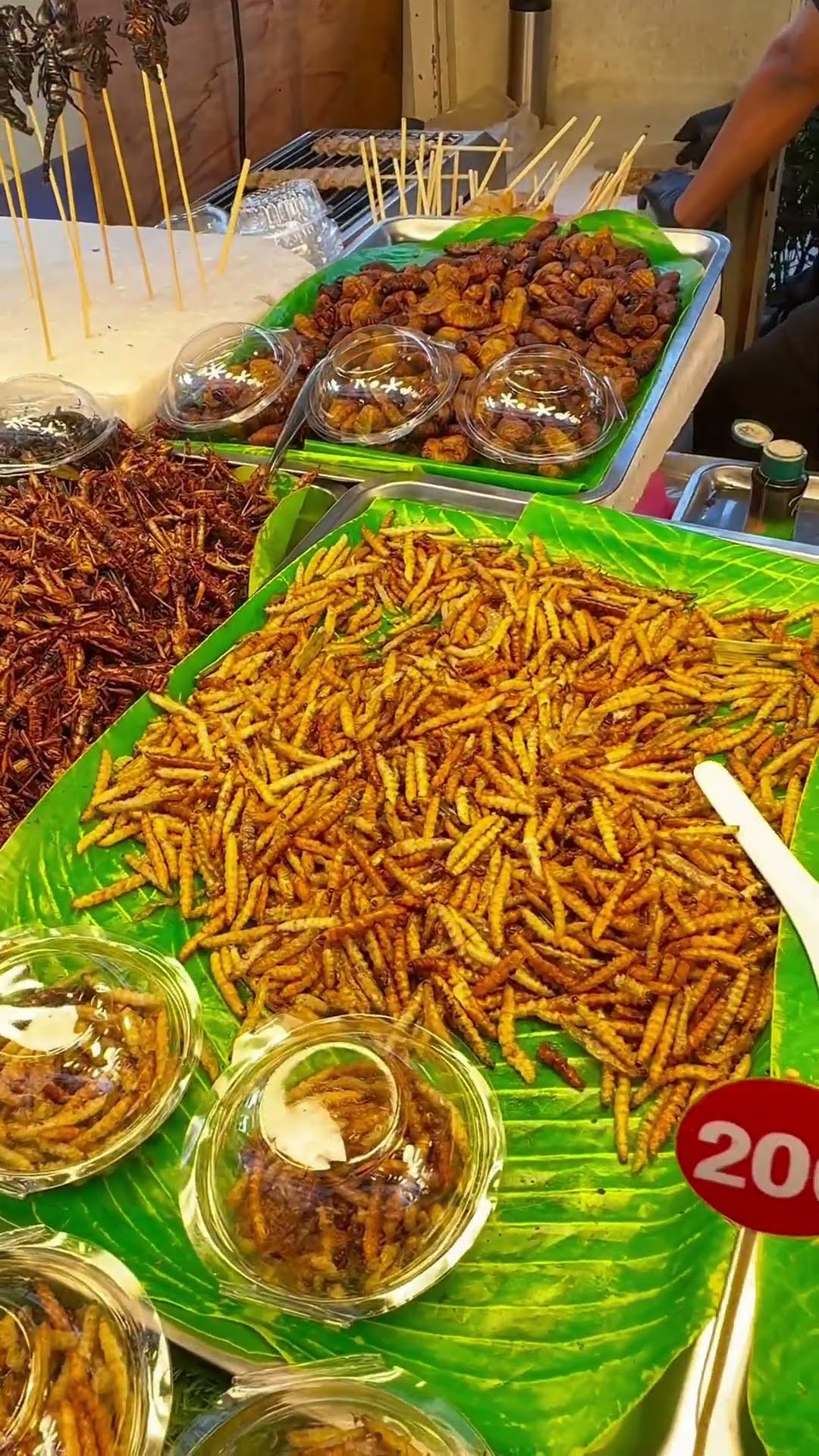 UNIK‼️ NEMU KALAJENGKING GORENG DI THAILAND