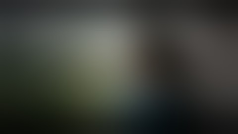 『レディ・マクベス』予告