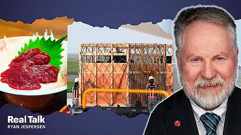 ADLER: "Horses are being tortured and traumatized."