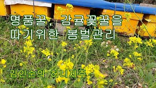 봄벌키우기
